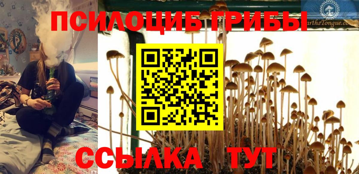 Псилоцибиновые грибы мухоморы  Галлюциногенные грибы Magic Shrooms  Вход с VPN  Александров 